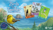 Birds of a Feather: Western North America