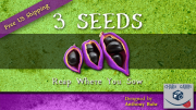3 Seeds